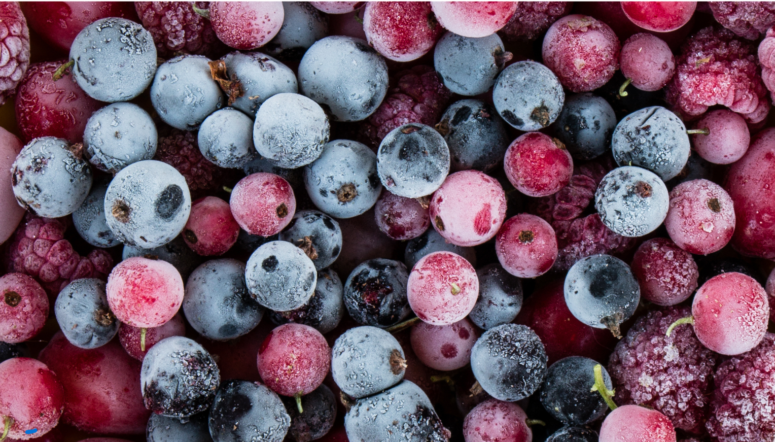 Frozen Goods
