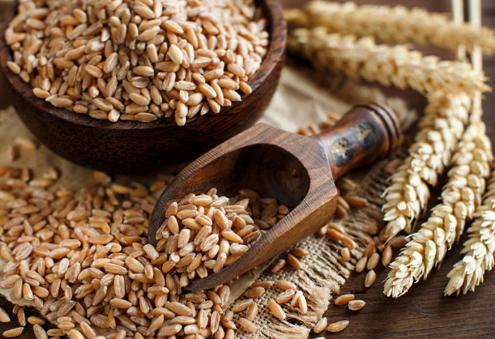 Grains, Pulses, Oilseeds
